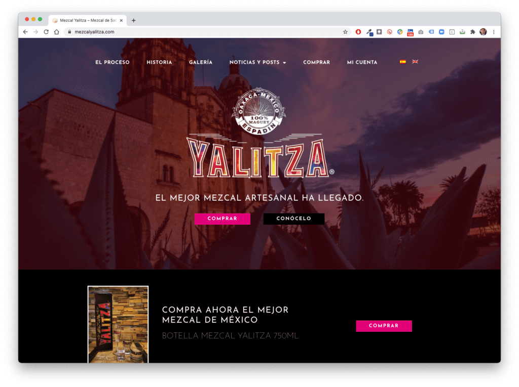 Proyecto de sitio web mezcalyalitza