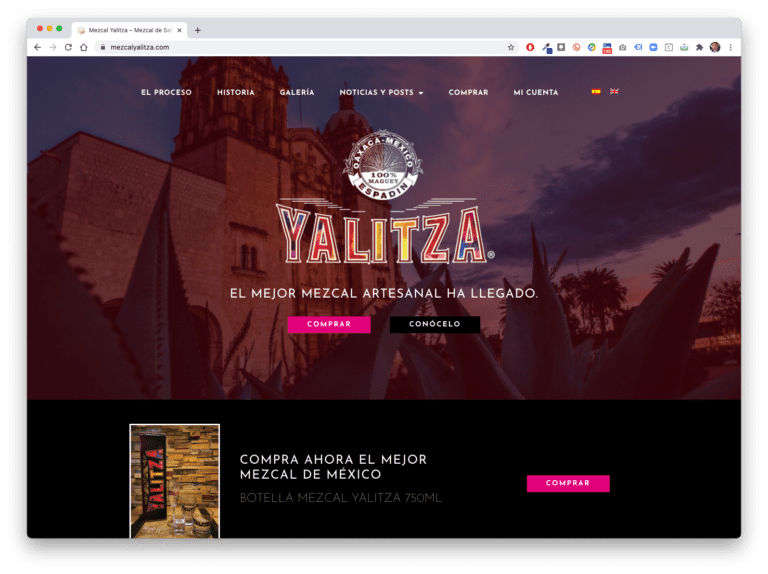Proyecto de sitio web mezcalyalitza