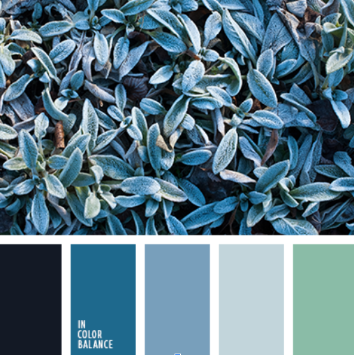 Qué Colores Escoger para tu Sitio Web 4 colores complementarios