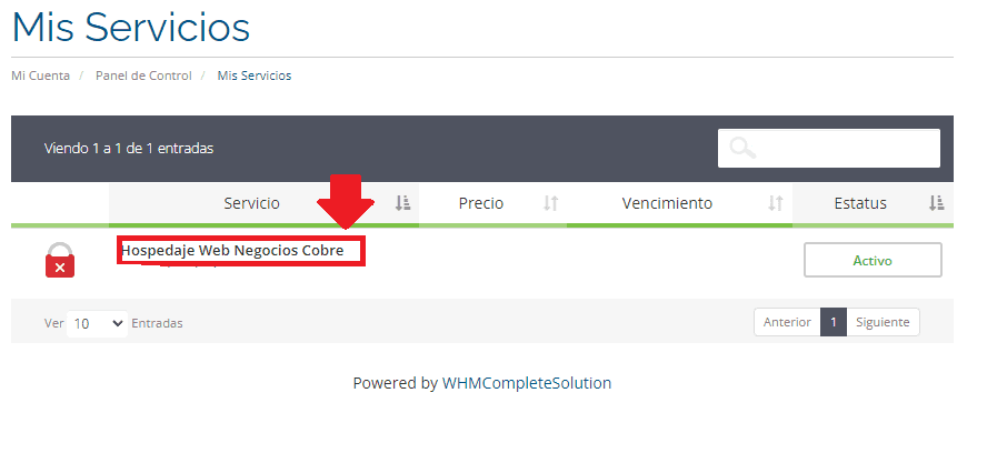 ¿Cómo ingresar a cPanel desde tu portal Lidergia en 3 pasos? 4 Mis servicios Portal Lidergia